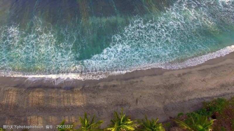 印度洋空中拍摄的海滩和棕榈树