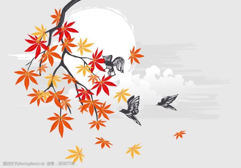 日本日本枫树唯美日系秋季枫叶插画