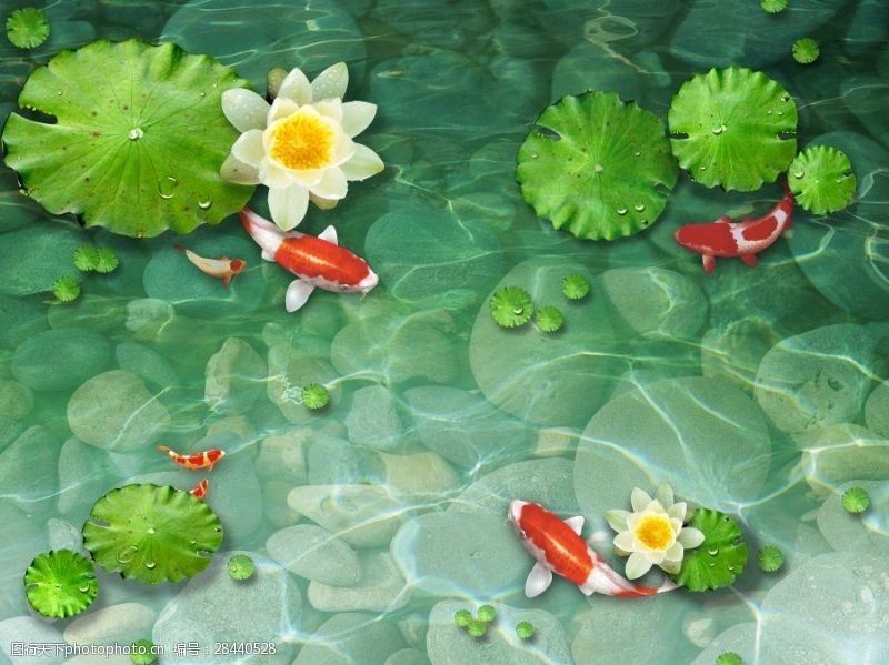 透视效果图池中鲤鱼觅食背景墙素材