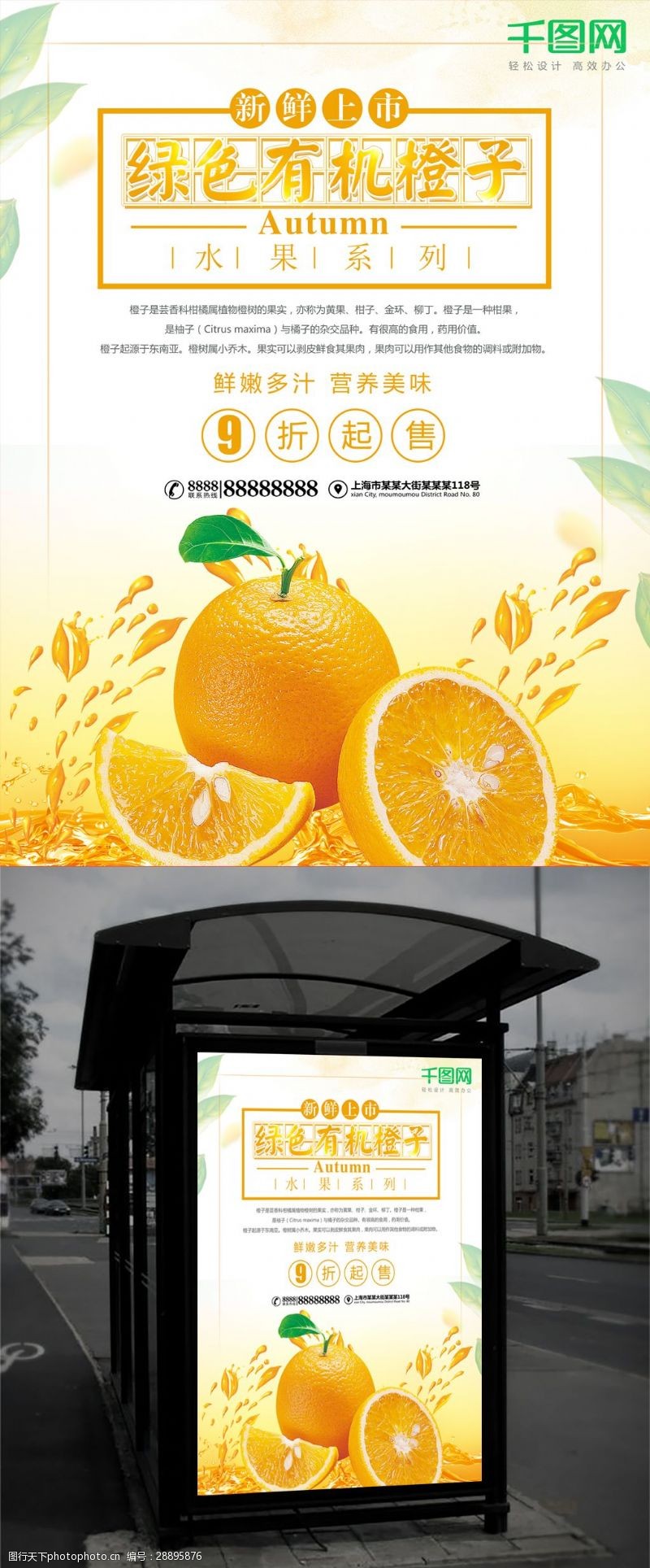 火龙果海报绿色有机橙子促销海报