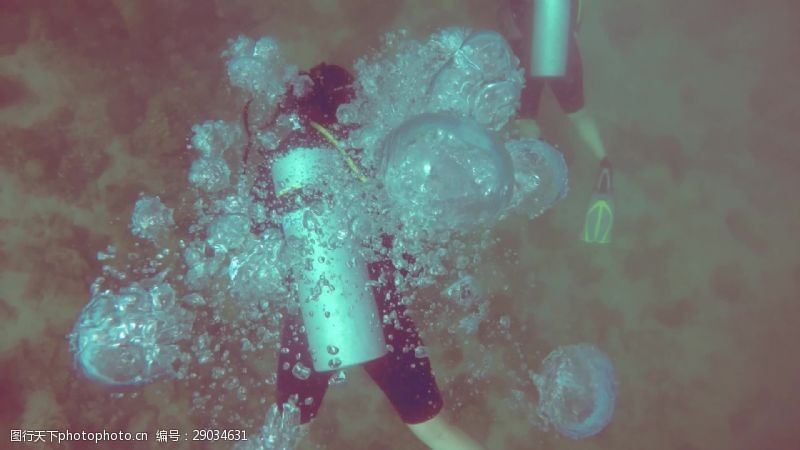 潜水运动潜水的泡泡