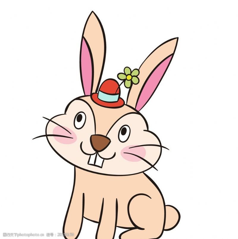 粉饼粉兔子
