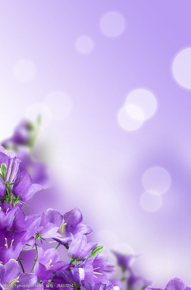 豹纹紫色花朵海报背景素材