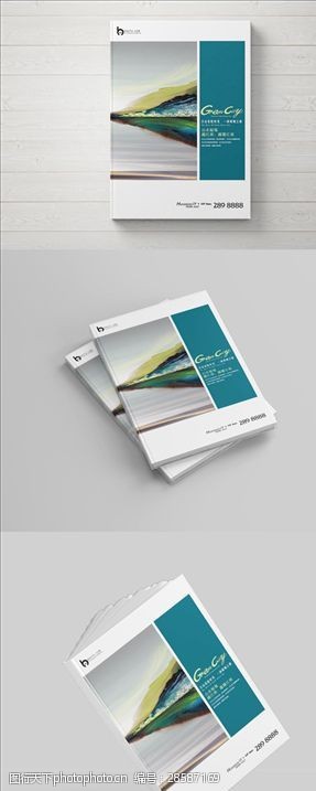 国际金融公司地产画册封面设计
