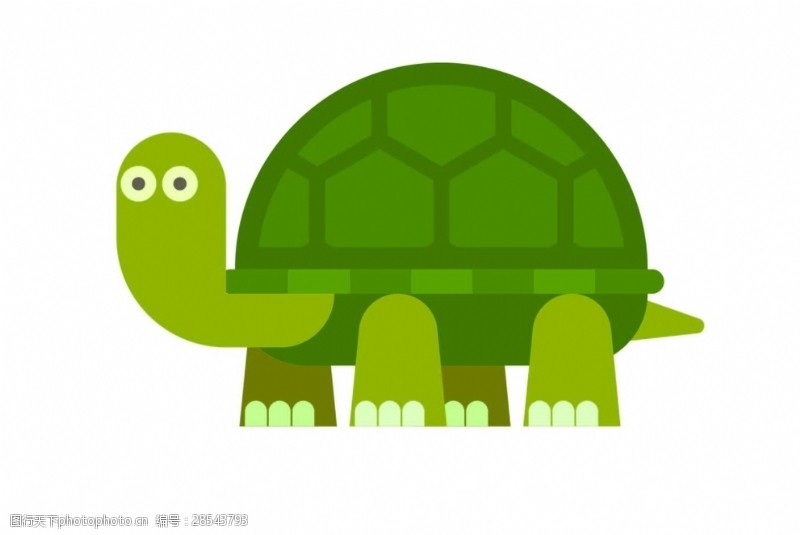 扁平动物卡通乌龟
