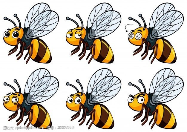 自有不同表情不同的蜜蜂