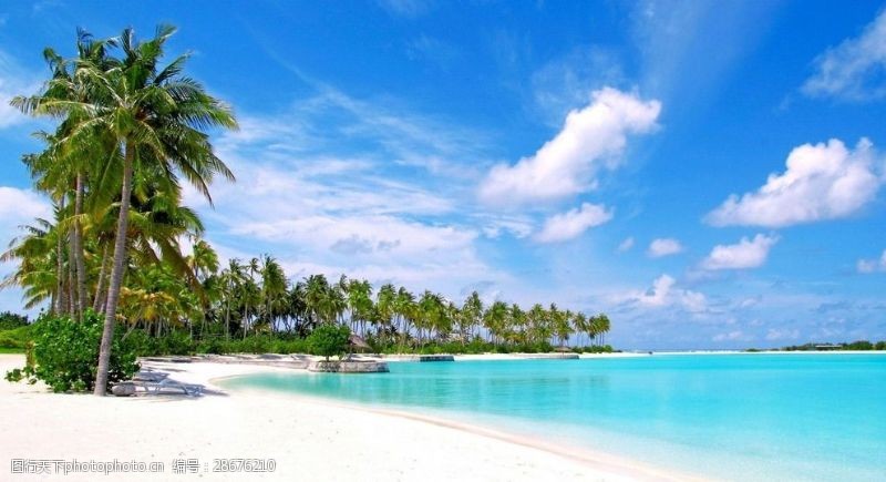 海滩蓝天椰子树