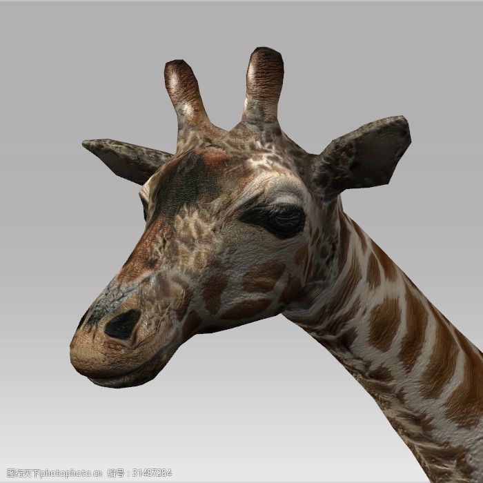 童装下载卡通动物长颈鹿模型