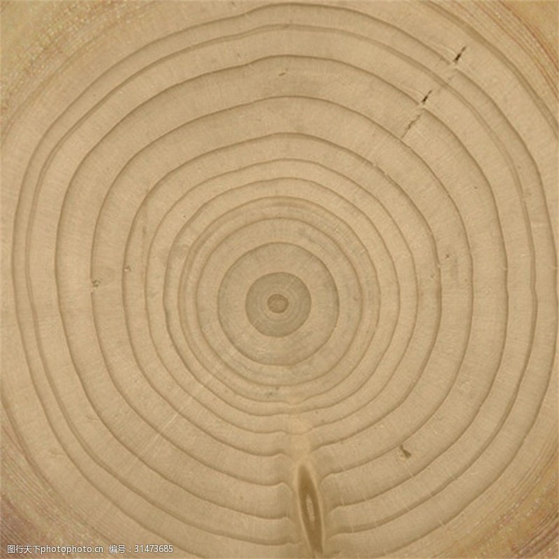 最常用常用的简约木头木材纹理材质贴图