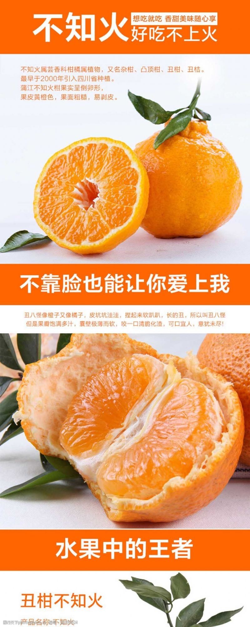 好水果丑橘详情页不知火丑橘