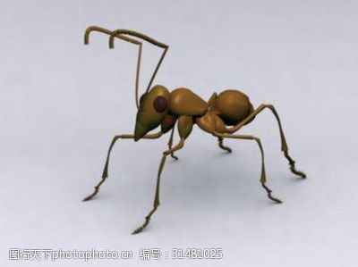f免费下载动物模型蚂蚁3dsmax模型