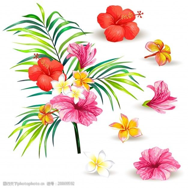 白同异向量的写实风格与芙蓉花的热带棕榈树的分支图