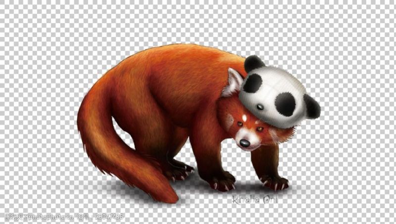 小熊猫图片可爱卡通免抠png透明图层素材