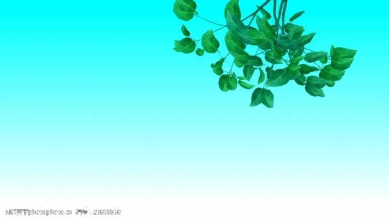 风景合成蓝色梦幻自然植物视频素材