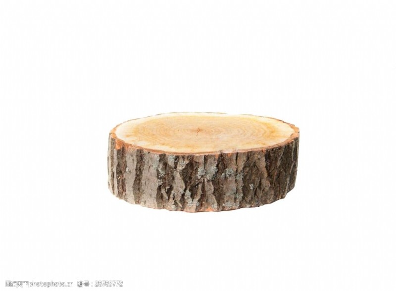 伐木一块大树木桩年轮砍伐环境时间