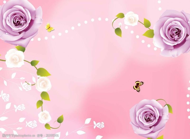 紫色玫瑰花背景图片免费下载 紫色玫瑰花背景素材 紫色玫瑰花背景模板 图行天下素材网