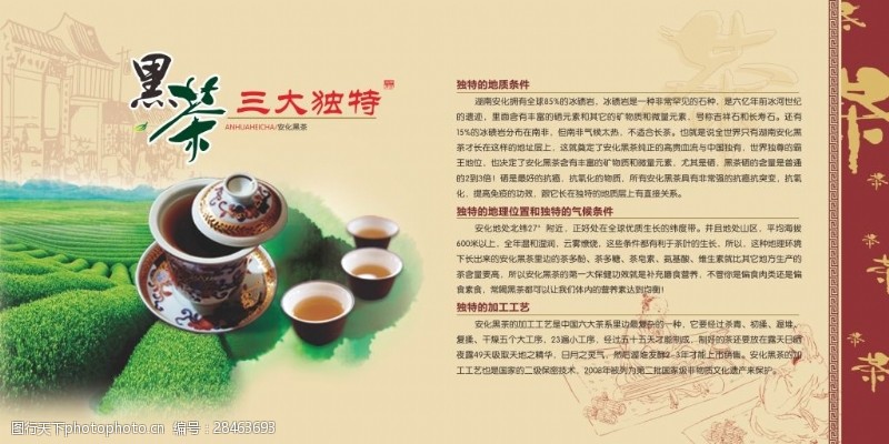 黑茶茶文化简介展板