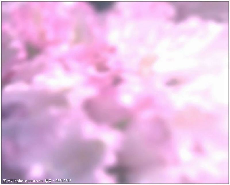 动态视频素材粉色云朵婚礼片头视频背景素材