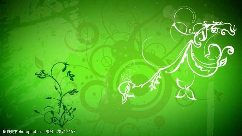 动态视频素材绿色清新花纹装饰背景视频素材