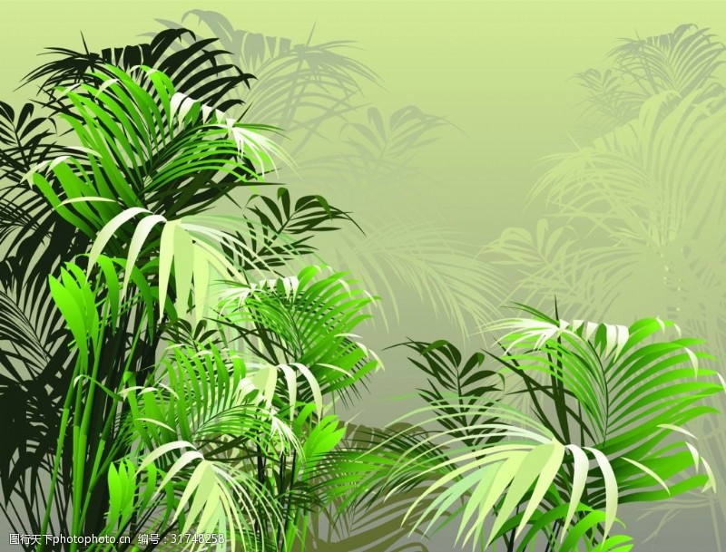 热带丛林矢量素材热带丛林植物插图矢量