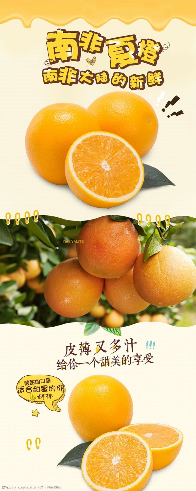 营养健康淘宝橙子详情页psd素材电商淘宝详情页模板食物鲜果水果