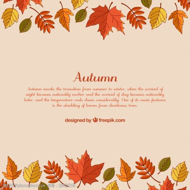 多彩的树木多彩的秋天背景手绘的叶子