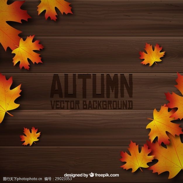 多彩的树木木板上的秋叶