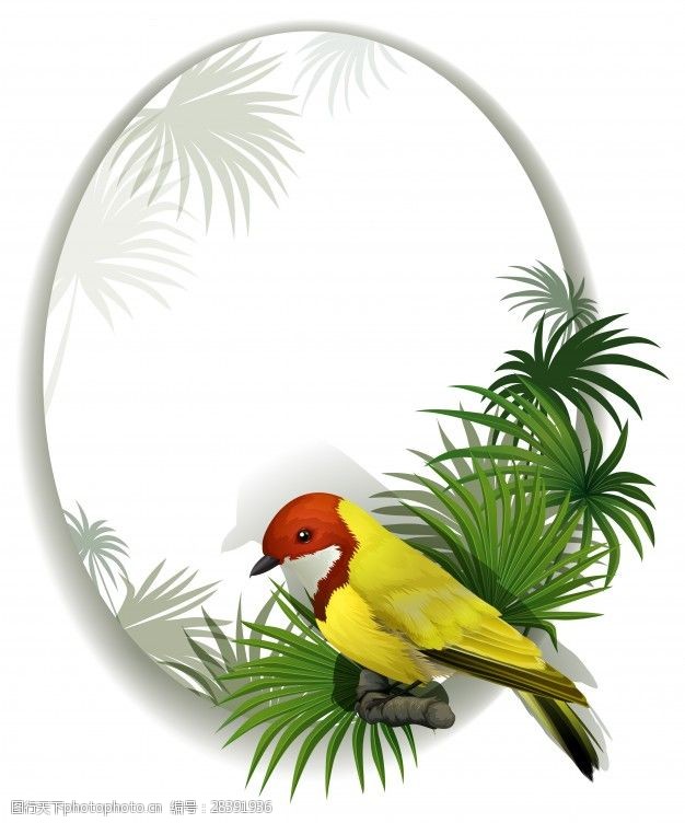 菜例一个白色背景上的一只鸟圆模板的例子