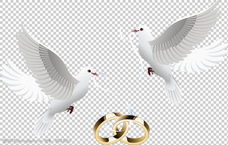 西式婚礼元素婚礼对戒和白鸽免抠png透明图层素材
