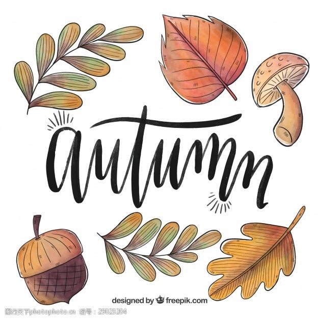 多彩的树木趣味秋天元素手绘风格