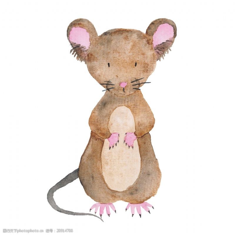鼠绘棕色手绘可爱手绘小动物