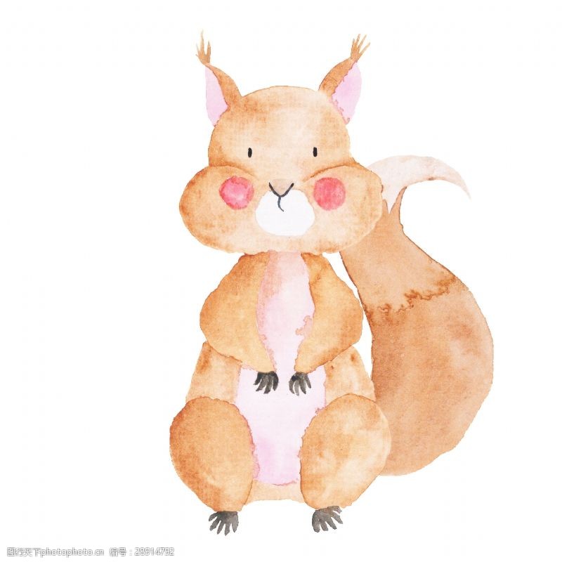 鼠绘棕色水彩可爱手绘小动物