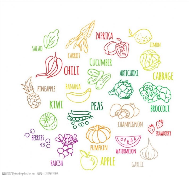 菠菜20款彩绘蔬菜和水果矢量图