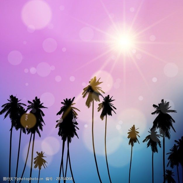 自然的背景虚化在落日的天空的棕榈树的剪影