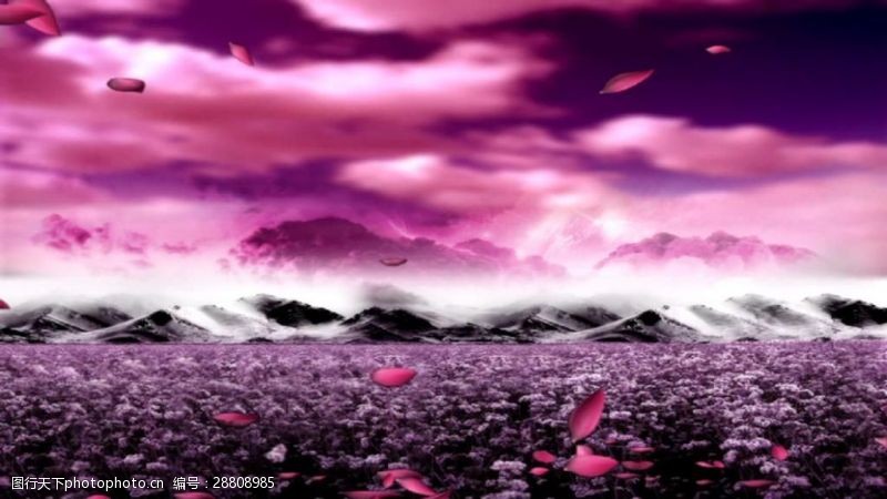风景合成紫红梦幻神秘视频素材
