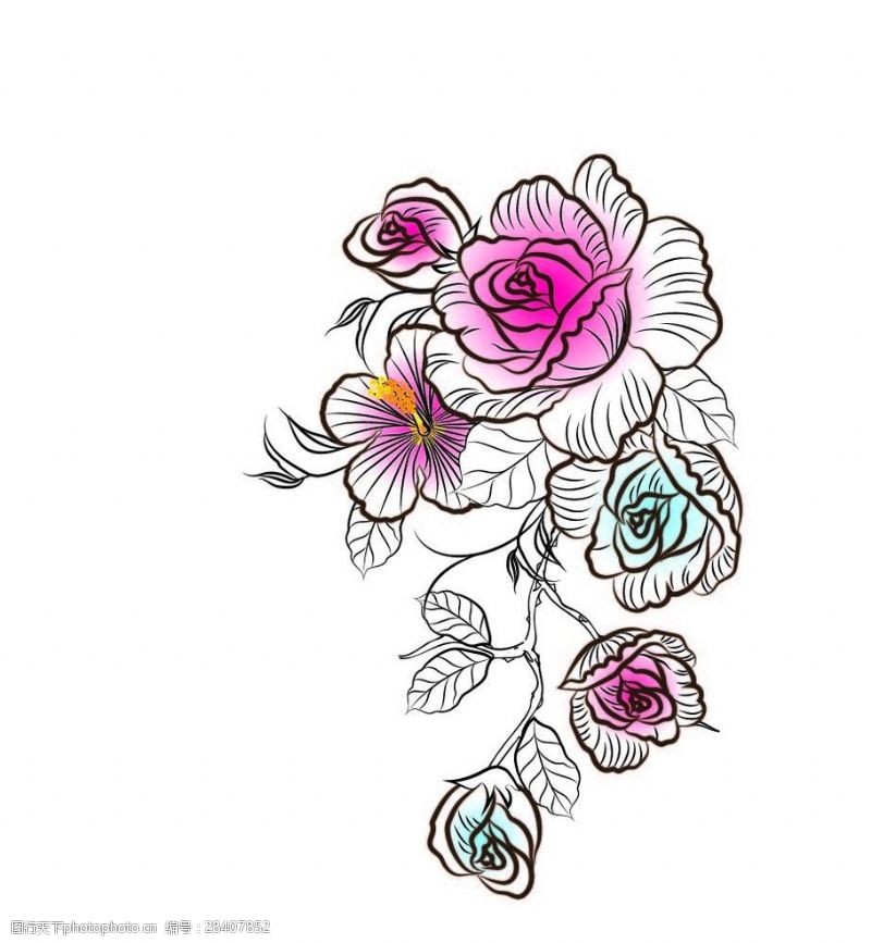 设计手稿手绘花朵