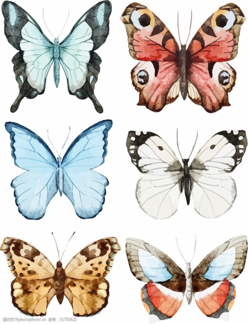 各种颜色的蝴蝶精美蝴蝶元素矢量装饰图案