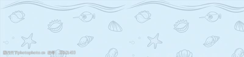 首页底纹贝壳鱼线条海洋生物