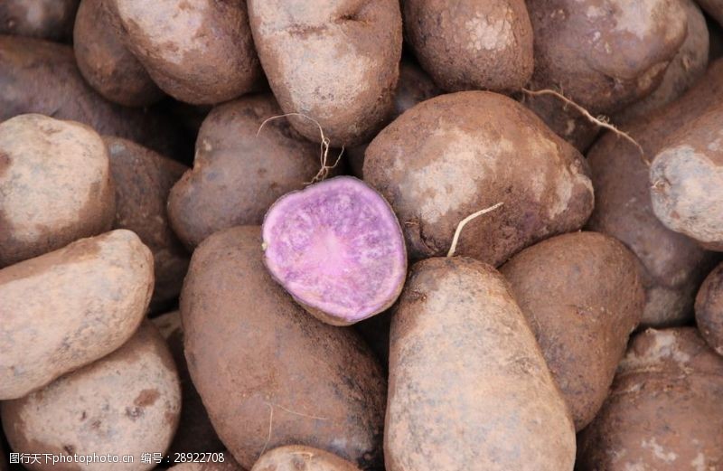 荷兰豆紫色的土豆