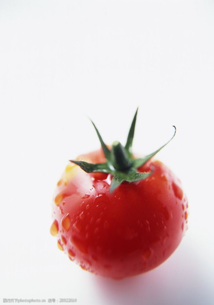 藩茄西红柿